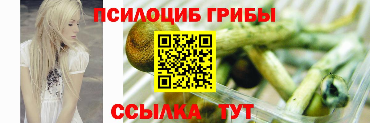 Галлюциногенные грибы MAGIC MUSHROOMS  Вход с VPN  Псилоцибиновые грибы GOLDEN TEACHER  Кузнецк 